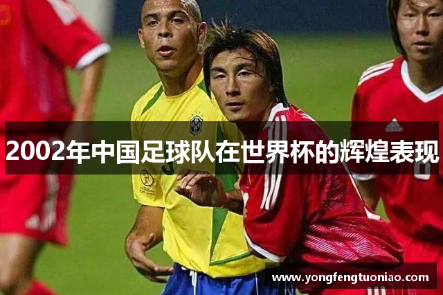 2002年中国足球队在世界杯的辉煌表现
